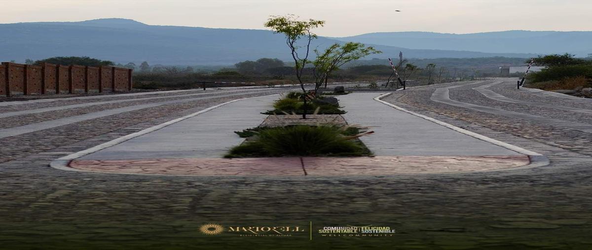 Foto de terreno habitacional en venta en  , número 27 [granja reproductora], comonfort, guanajuato, 25610841 No. 04